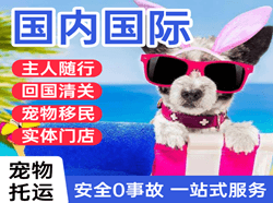 阳江合山机场物流国际宠物托运 【国